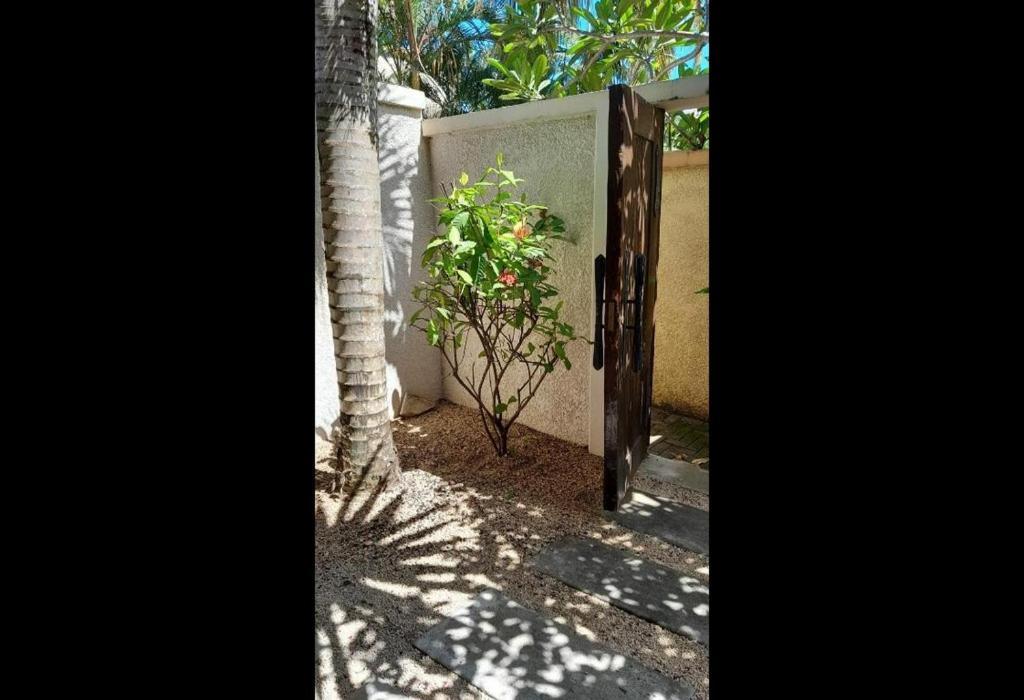Oasis 1 Villa Tropicale Grand-Baie Dış mekan fotoğraf