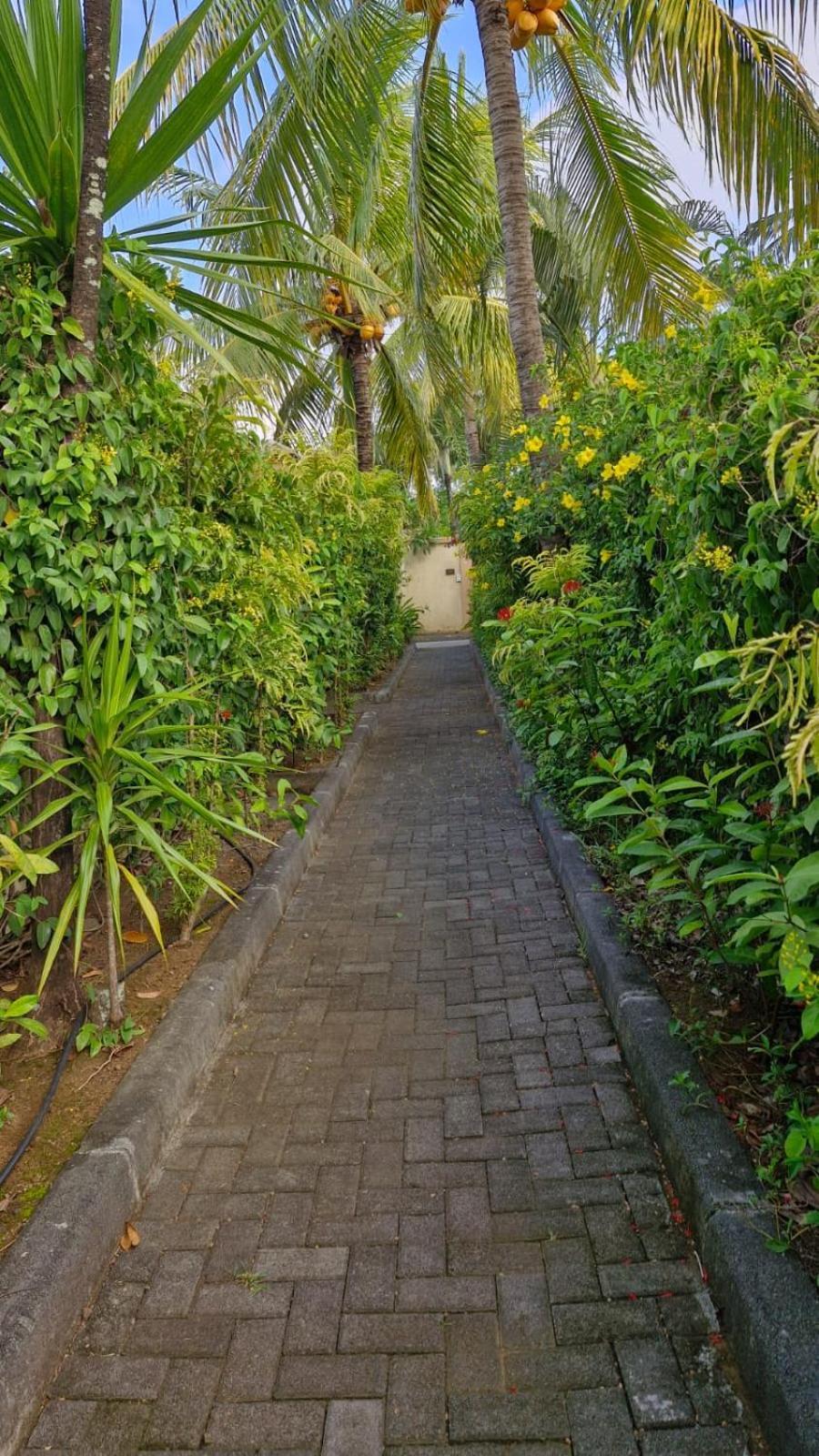 Oasis 1 Villa Tropicale Grand-Baie Dış mekan fotoğraf
